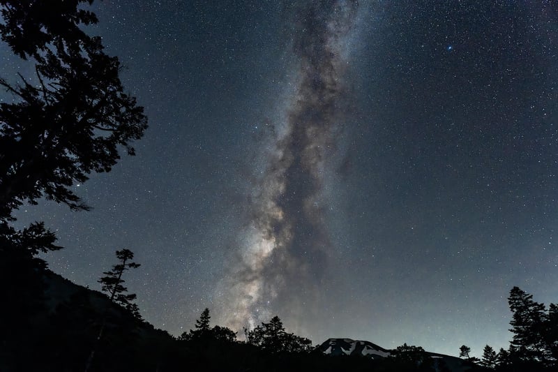 Starry Night Sky in the Forest